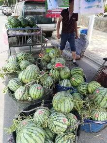 南宁吃瓜网红事件,揭秘网络舆论的风暴与真相