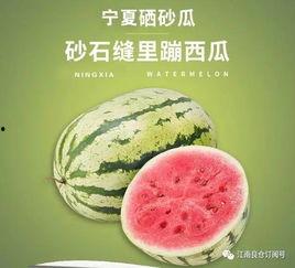 网红界的吃瓜是谁,揭秘娱乐圈幕后真相