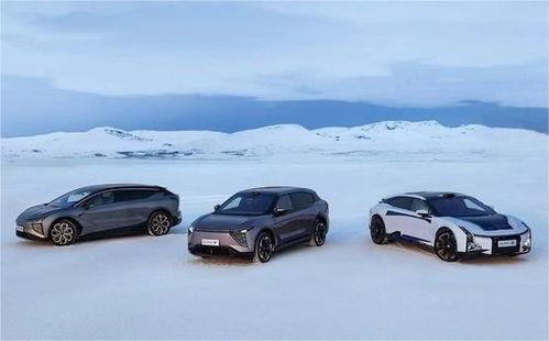 高合汽车吃瓜网,揭秘吃瓜网上的热门话题与行业动态