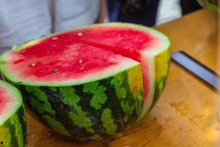 复旦大学网红吃瓜,揭秘校园热点背后的故事