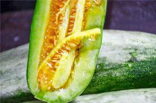 网红吃瓜网站最新,娱乐圈惊天大事件！