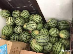 新洲网红吃瓜视频,揭秘网络热点背后的真相