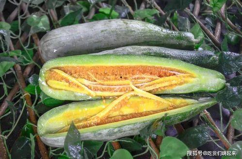 滨江网红吃瓜事件真相是真的吗,还原事件始末