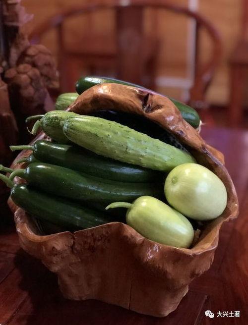 近期网红吃瓜事件,揭秘娱乐圈背后的真相与争议